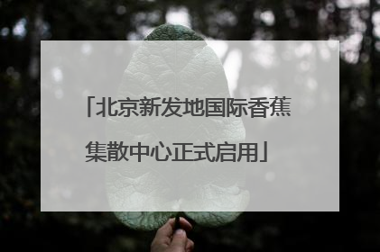 北京新发地国际香蕉集散中心正式启用