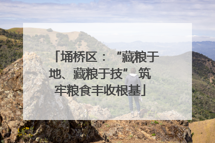 埇桥区：“藏粮于地、藏粮于技” 筑牢粮食丰收根基