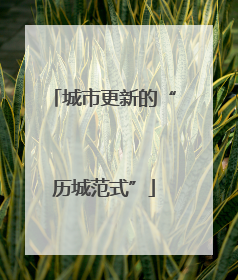 城市更新的“历城范式”