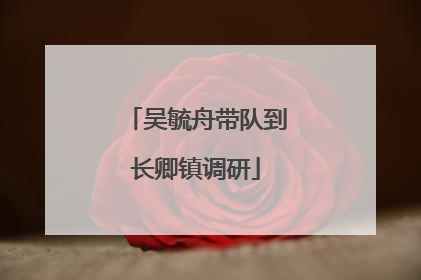 吴毓舟带队到长卿镇调研