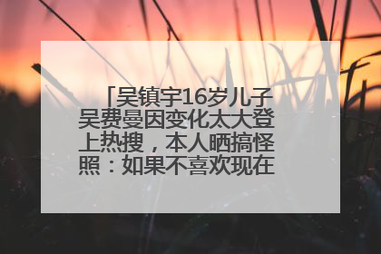 吴镇宇16岁儿子吴费曼因变化太大登上热搜，本人晒搞怪照：如果不喜欢现在的我可以离开