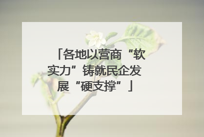 各地以营商“软实力”铸就民企发展“硬支撑”