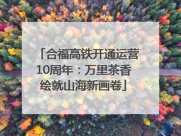 合福高铁开通运营10周年：万里茶香绘就山海新画卷