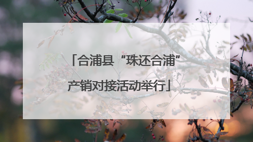 合浦县“珠还合浦”产销对接活动举行