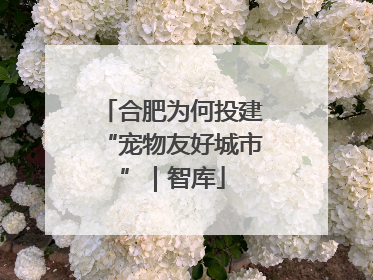 合肥为何投建“宠物友好城市”｜智库