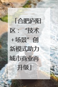 合肥庐阳区：“技术+场景”创新模式助力城市商业再升级