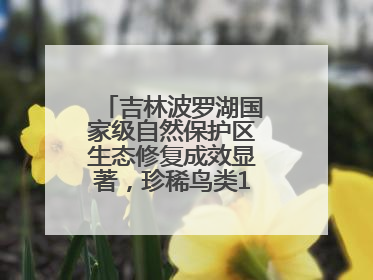 吉林波罗湖国家级自然保护区生态修复成效显著，珍稀鸟类10年增加5倍