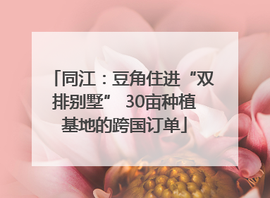 同江：豆角住进“双排别墅” 30亩种植基地的跨国订单