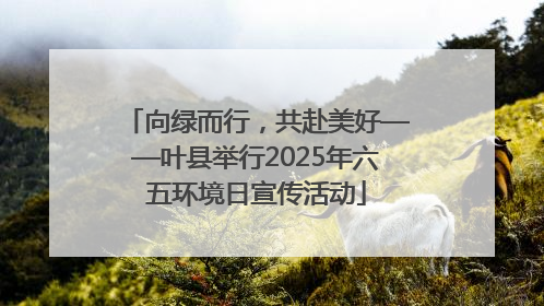 向绿而行，共赴美好——叶县举行2025年六五环境日宣传活动