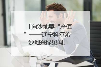 向沙地要“产值”——辽宁科尔沁沙地兴绿见闻