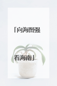 向海图强看海南