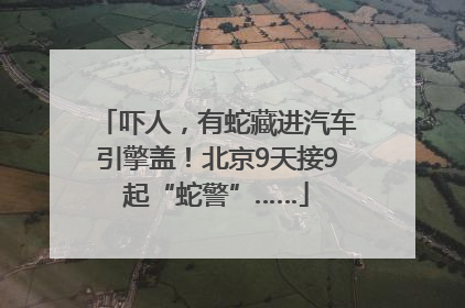吓人，有蛇藏进汽车引擎盖！北京9天接9起“蛇警”……