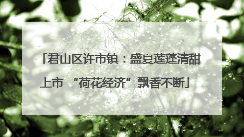 君山区许市镇：盛夏莲蓬清甜上市 “荷花经济”飘香不断