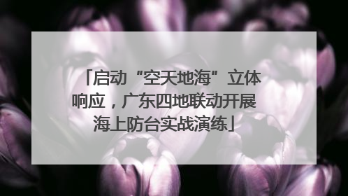 启动“空天地海”立体响应，广东四地联动开展海上防台实战演练