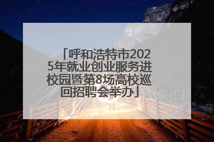 呼和浩特市2025年就业创业服务进校园暨第8场高校巡回招聘会举办