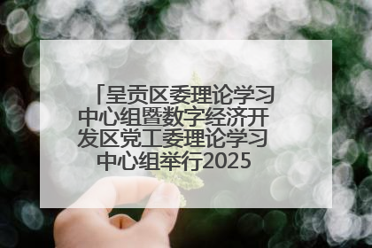 呈贡区委理论学习中心组暨数字经济开发区党工委理论学习中心组举行2025年第七次学习会议