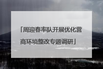 周迎春率队开展优化营商环境整改专题调研