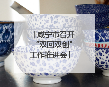 咸宁市召开“双回双创”工作推进会