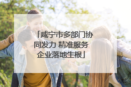 咸宁市多部门协同发力 精准服务企业落地生根