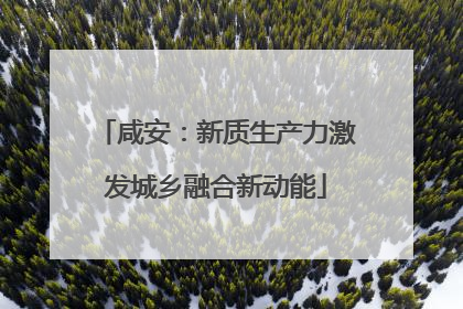 咸安：新质生产力激发城乡融合新动能