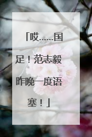 哎……国足！范志毅昨晚一度语塞！