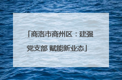 商洛市商州区：建强党支部 赋能新业态