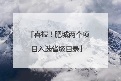 喜报！肥城两个项目入选省级目录