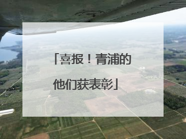 喜报！青浦的他们获表彰