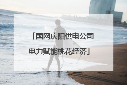 国网庆阳供电公司电力赋能桃花经济