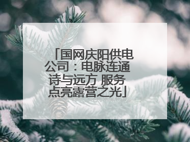 国网庆阳供电公司：电脉连通诗与远方 服务点亮露营之光