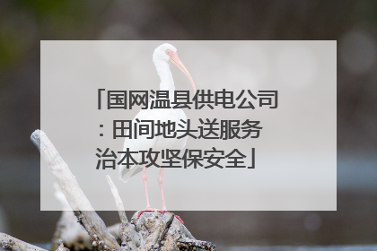 国网温县供电公司：田间地头送服务 治本攻坚保安全