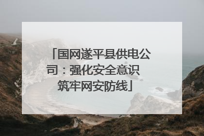 国网遂平县供电公司：强化安全意识 筑牢网安防线