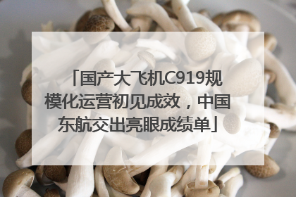 国产大飞机C919规模化运营初见成效，中国东航交出亮眼成绩单