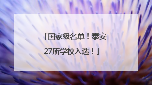 国家级名单！泰安27所学校入选！