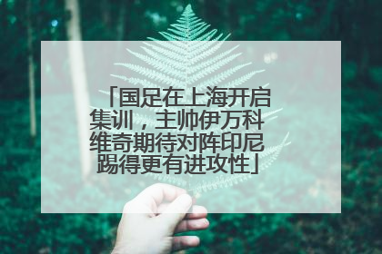 国足在上海开启集训,主帅伊万科维奇期待对阵印尼踢得更有进攻性