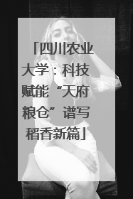 四川农业大学：科技赋能“天府粮仓”谱写稻香新篇