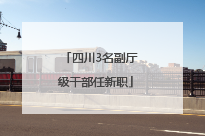 四川3名副厅级干部任新职