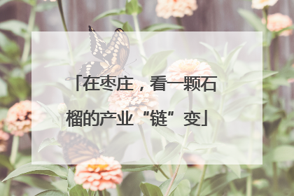 在枣庄，看一颗石榴的产业“链”变