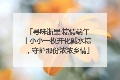 寻味浙里·粽情端午丨小小一枚开化碱水粽,守护那份浓浓乡情