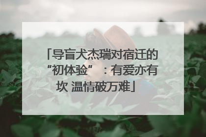 导盲犬杰瑞对宿迁的“初体验”：有爱亦有坎 温情破万难