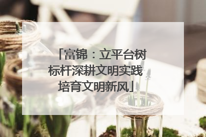 富锦：立平台树标杆深耕文明实践培育文明新风