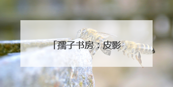 孺子书房：皮影戏里赏“非遗”，传统文化焕新机