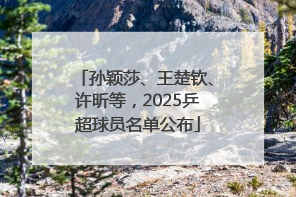 孙颖莎、王楚钦、许昕等，2025乒超球员名单公布
