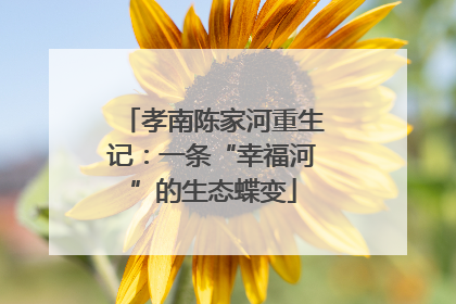 孝南陈家河重生记：一条“幸福河”的生态蝶变
