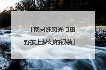家园好风光 ⎮田野披上梦幻的银装