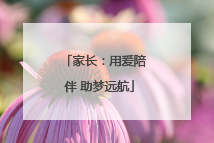 家长：用爱陪伴 助梦远航