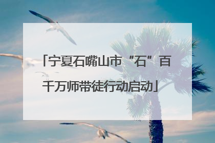 宁夏石嘴山市“石”百千万师带徒行动启动