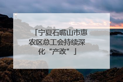 宁夏石嘴山市惠农区总工会持续深化“产改”
