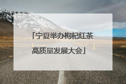 宁夏举办枸杞红茶高质量发展大会