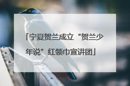 宁夏贺兰成立“贺兰少年说”红领巾宣讲团